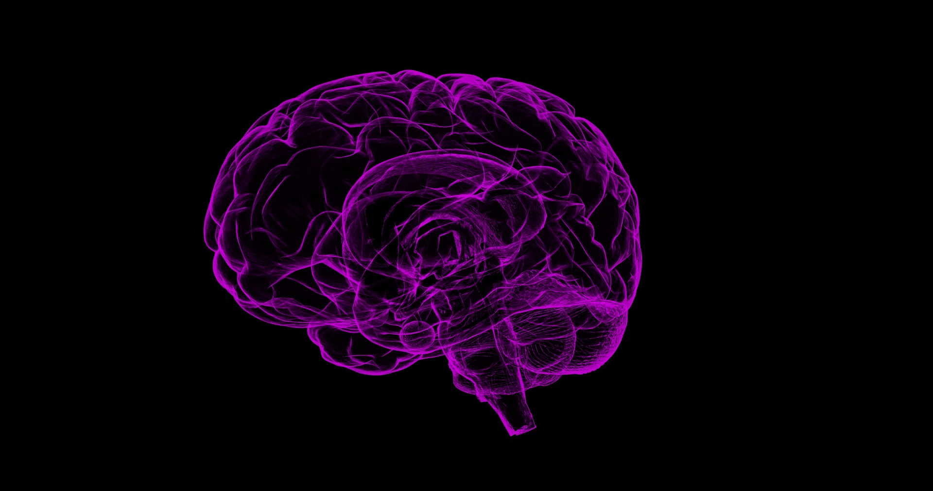 imagen sobre la cocaína y el cerebro